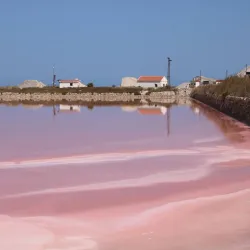 Salinas de Santa Pola (Salt Flats) - Santa Pola