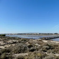 Salinas de Santa Pola (Salt Flats) - Santa Pola