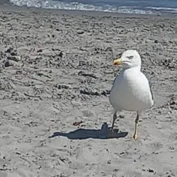 Santa Pola Beaches - Santa Pola