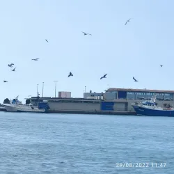 Santa Pola Marina - Santa Pola