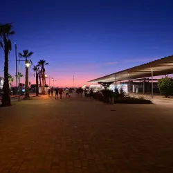 Santa Pola Marina - Santa Pola