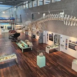 Museo do Mar de Galicia - Santa Uxia de Ribeira