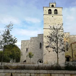 Catedral de Santander - Santander