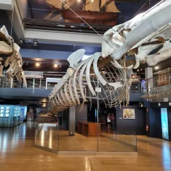 Museo Marítimo del Cantábrico - Santander