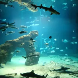 Museo Marítimo del Cantábrico - Santander