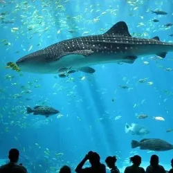 Museo Marítimo del Cantábrico - Santander