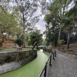 Parque de Mataleñas - Santander