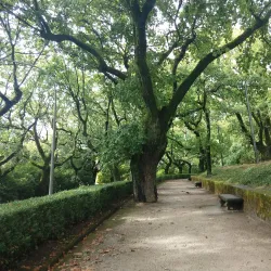 Parque de la Alameda - Santiago de Compostela