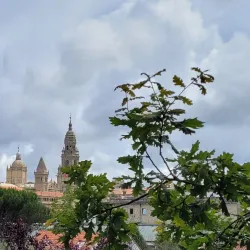 Parque de la Alameda - Santiago de Compostela