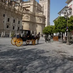 Barrio Santa Cruz - Seville (Sevilla)