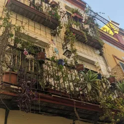 Barrio Santa Cruz - Seville (Sevilla)