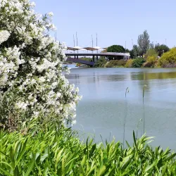 Triana Neighborhood - Seville (Sevilla)