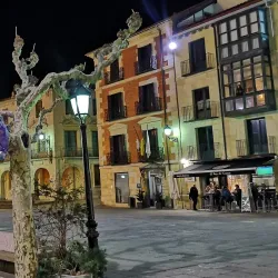 Fuente de los Leones - Soria