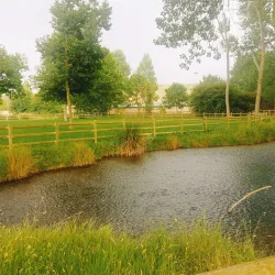 Parque de la Dehesa - Soria