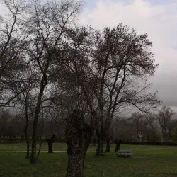 Parque Municipal de Soto del Real - Soto del Real