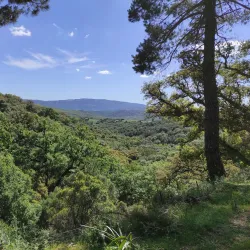 Parque Natural de los Alcornocales - Sotogrande