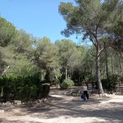 Pont del Diable (Devil's Bridge) - Tarragona