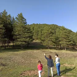 Cal Cerdanyola - Torello