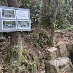 Parc de la Font del Ferro - Torello
