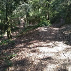 Parc de la Font del Ferro - Torello