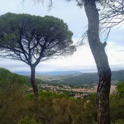 Parc de la Font del Ferro - Torello