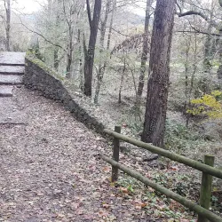 Riera de Torelló - Torello