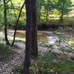 Riera de Torelló - Torello