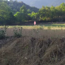 Riera de Torelló - Torello