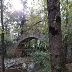 Riera de Torelló - Torello