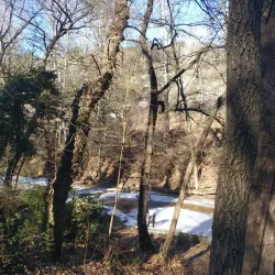 Riera de Torelló - Torello