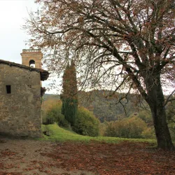 Sant Andreu Church - Torello