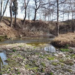 Sant Vicenç de Torelló - Torello