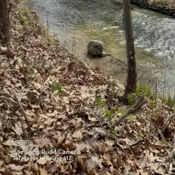 Sant Vicenç de Torelló - Torello