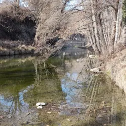 Sant Vicenç de Torelló - Torello