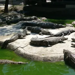 Crocodile Park Torremolinos - Torremolinos