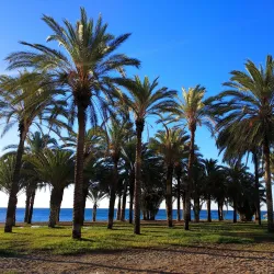 Paseo Marítimo de Torremolinos - Torremolinos
