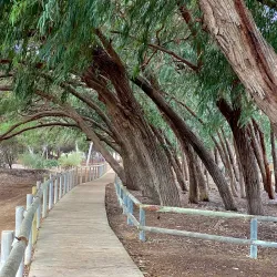 Parque Natural de las Lagunas de La Mata y Torrevieja - Torrevieja