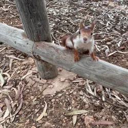 Parque Natural de las Lagunas de La Mata y Torrevieja - Torrevieja
