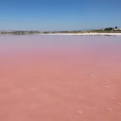 Parque Natural de las Lagunas de La Mata y Torrevieja - Torrevieja