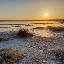 Parque Natural de las Lagunas de La Mata y Torrevieja - Torrevieja