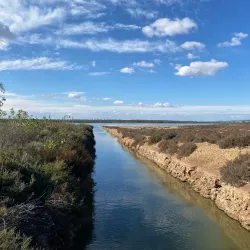 Parque Natural de las Lagunas de La Mata y Torrevieja - Torrevieja