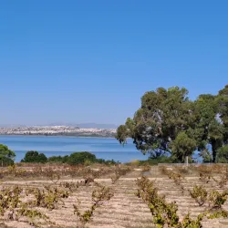 Parque Natural de las Lagunas de La Mata y Torrevieja - Torrevieja
