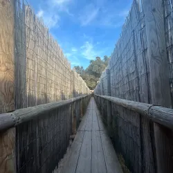 Parque Natural de las Lagunas de La Mata y Torrevieja - Torrevieja