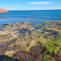 Playa de Los Locos - Torrevieja