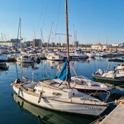Torrevieja Marina - Torrevieja