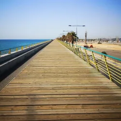 Torrevieja Marina - Torrevieja