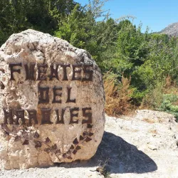 Fuente del Marqués - Totana