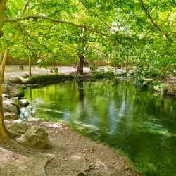 Fuente del Marqués - Totana