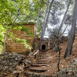Fuente del Marqués - Totana