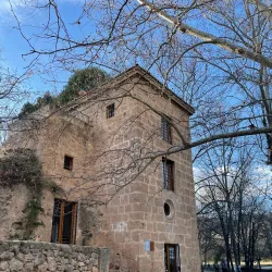 Fuente del Marqués - Totana